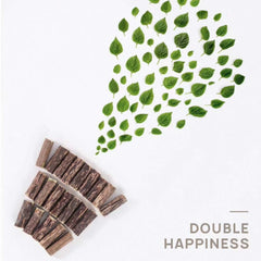 Dental Chew Catnip Cat Toy Ball-Petroom