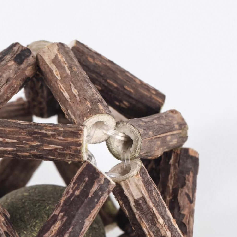 Dental Chew Catnip Cat Toy Ball-Petroom