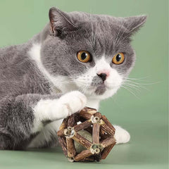 Dental Chew Catnip Cat Toy Ball-Petroom