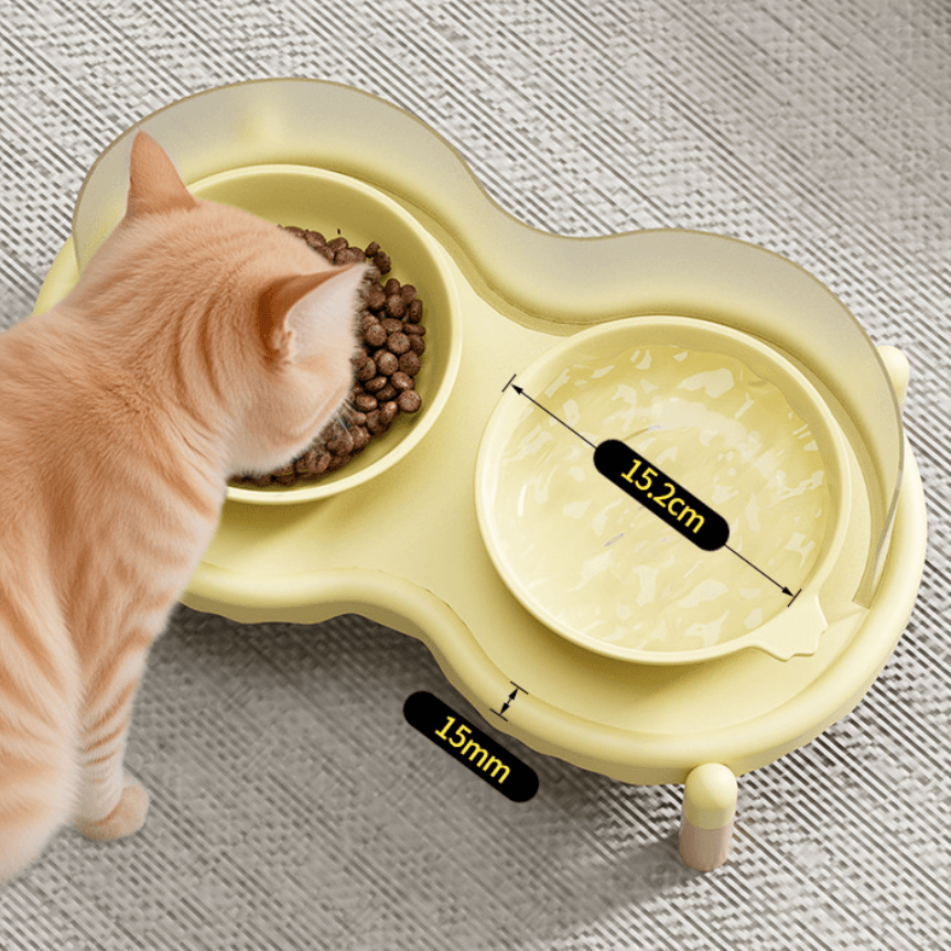 Dual Elevated Ceramic Pet Bowl – Food & Water Station-Petroom