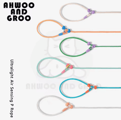 Durable Cotton Nylon Pet Rope Leash – Adjustable Slip Lead with Metal Ring-Petroom