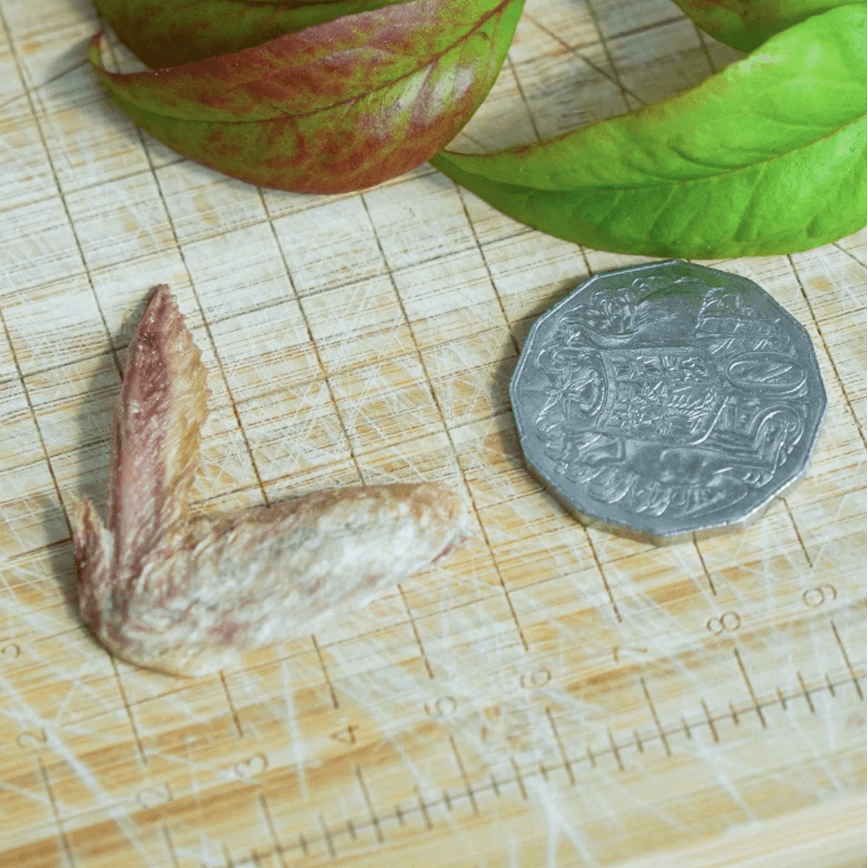 FUREEZE Freeze Dried Quail Wings 50g-Petroom