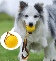 Floating Foam Dog Toy Ball with Rope – Safe & Durable Water Fetch Toy-Petroom