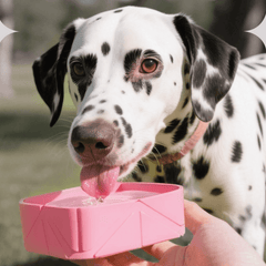 Foldable Travel Dog Bowl Portable Pet Food Water Container 500ml-Petroom