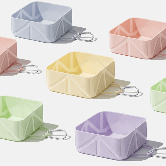 Foldable Travel Dog Bowl Portable Pet Food Water Container 500ml-Petroom