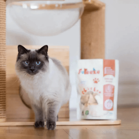 Fureeze Freeze Dried Free Range Chicken Breast 100g-Petroom