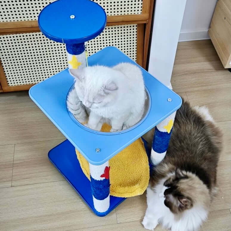 Galaxy Moon Nest and Space Capsule-Petroom