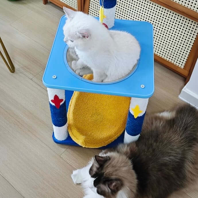 Galaxy Moon Nest and Space Capsule-Petroom