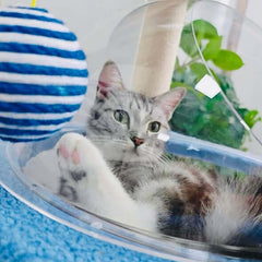 Galaxy UFO Moon Cat Tree – Stylish & Fun Cat Tower Premium-Petroom