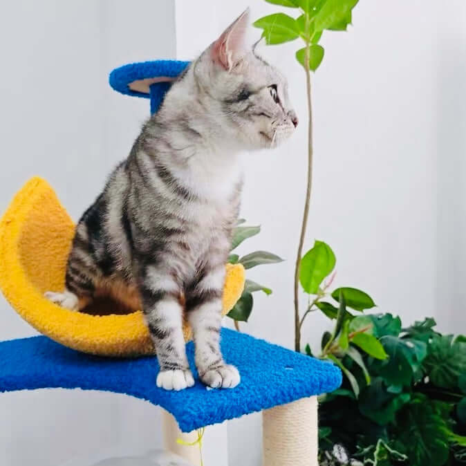Galaxy UFO Moon Cat Tree – Stylish & Fun Cat Tower Premium-Petroom