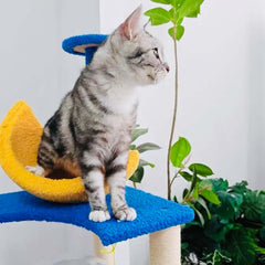 Galaxy UFO Moon Cat Tree – Stylish & Fun Cat Tower Premium-Petroom