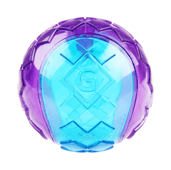 Gigwi Interactive G-Ball Series Squeaky Balls Dog Toy-Petroom
