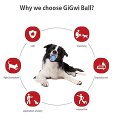 Gigwi Interactive G-Ball Series Squeaky Balls Dog Toy-Petroom