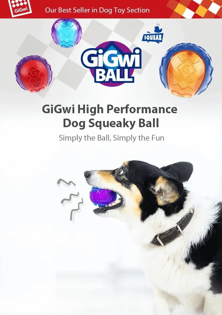 Gigwi Interactive G-Ball Series Squeaky Balls Dog Toy-Petroom