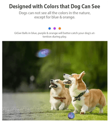 Gigwi Interactive G-Ball Series Squeaky Balls Dog Toy-Petroom