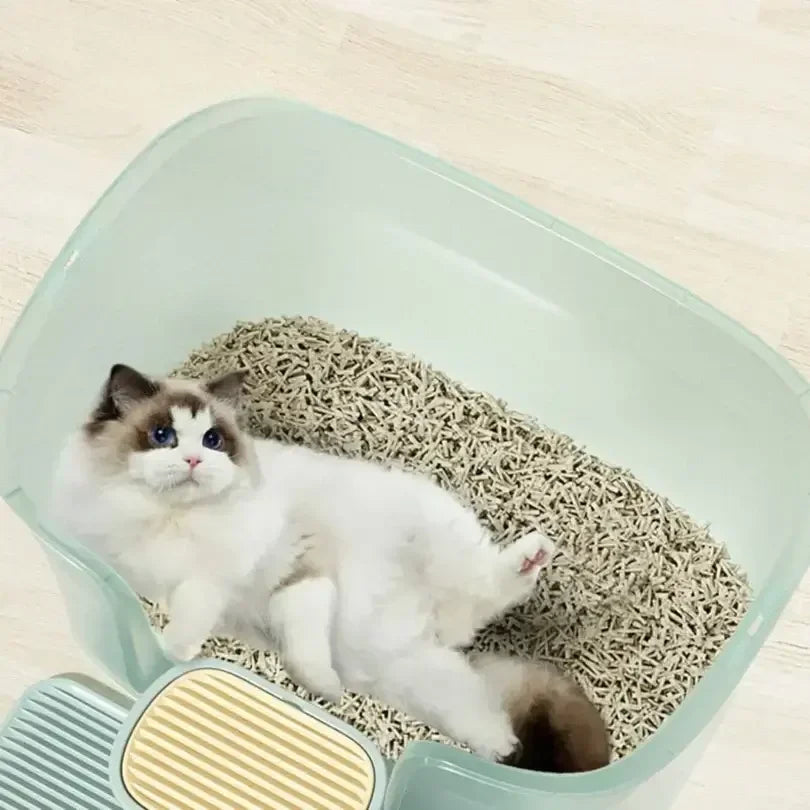 Fluffy cat lounging in a mint green litter box with wood pellet litter, ideal for stylish pet supplies.