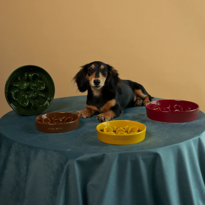 KAMA MUTA Ceramic Slow Feeder Bowl-Petroom KAMA MUTA Ceramic Slow Feeder Bowl-Petroom