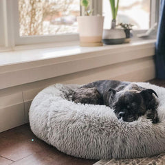 Living today Cat Bed Dog Bed Winter Plush Donut Two Colour Option-Petroom