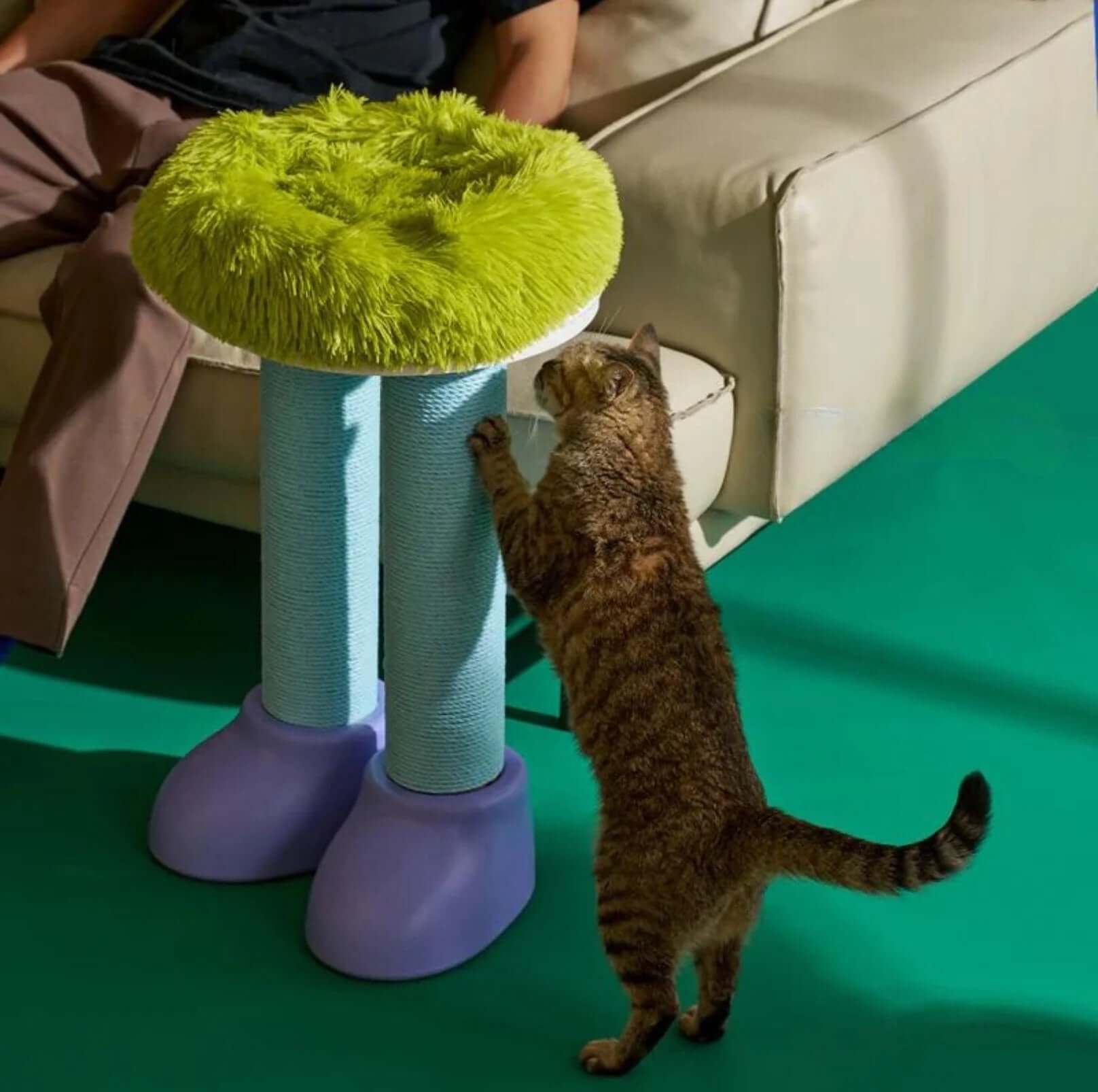 MAKESURE 3-in-1 Cat Scratcher, Bed, and Side Table - Stylish Feline Furniture-Petroom