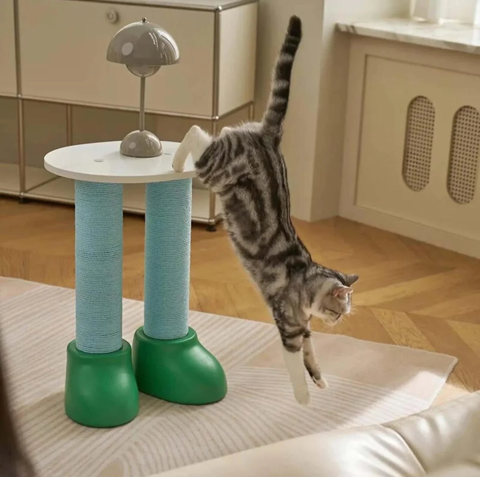 Gray tabby cat playing on stylish blue and green cat scratching post in modern home