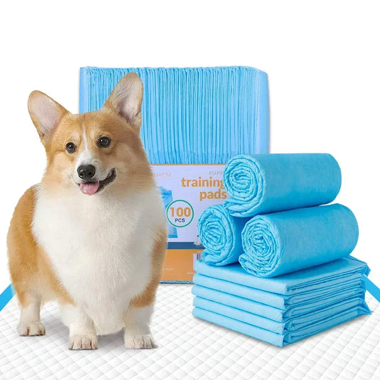 100pcs Absorbent Dog Training Pad 60 x 60 cm