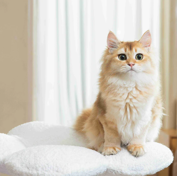 MICHU Fairy Cat Tower Deluxe 4-Tier Designer Flower Cat Tree Pre-Order-Petroom