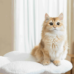 MICHU Fairy Cat Tower Deluxe 4-Tier Designer Flower Cat Tree Pre-Order-Petroom