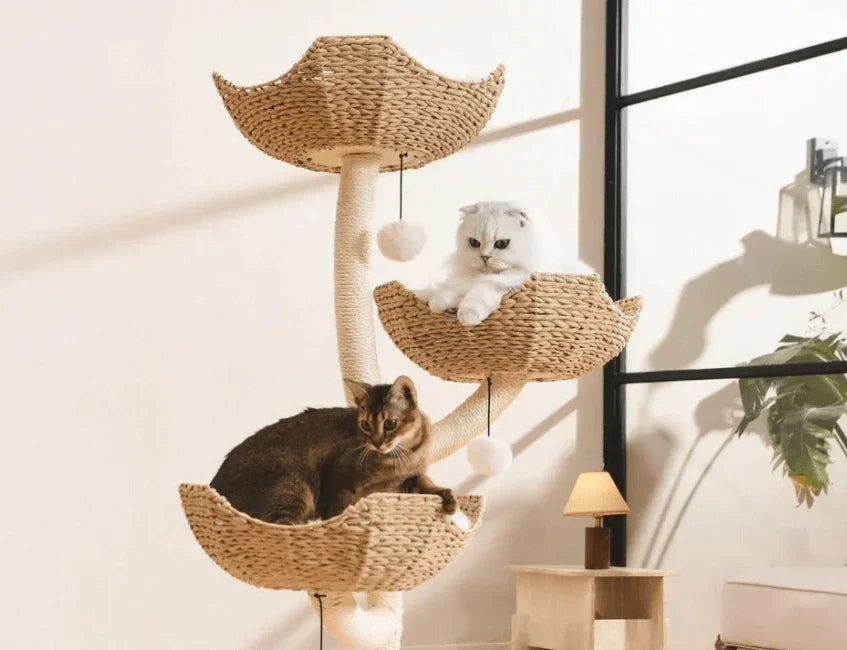 Stylish wicker cat tree with two cats lounging on tiered baskets, perfect for modern pet homes