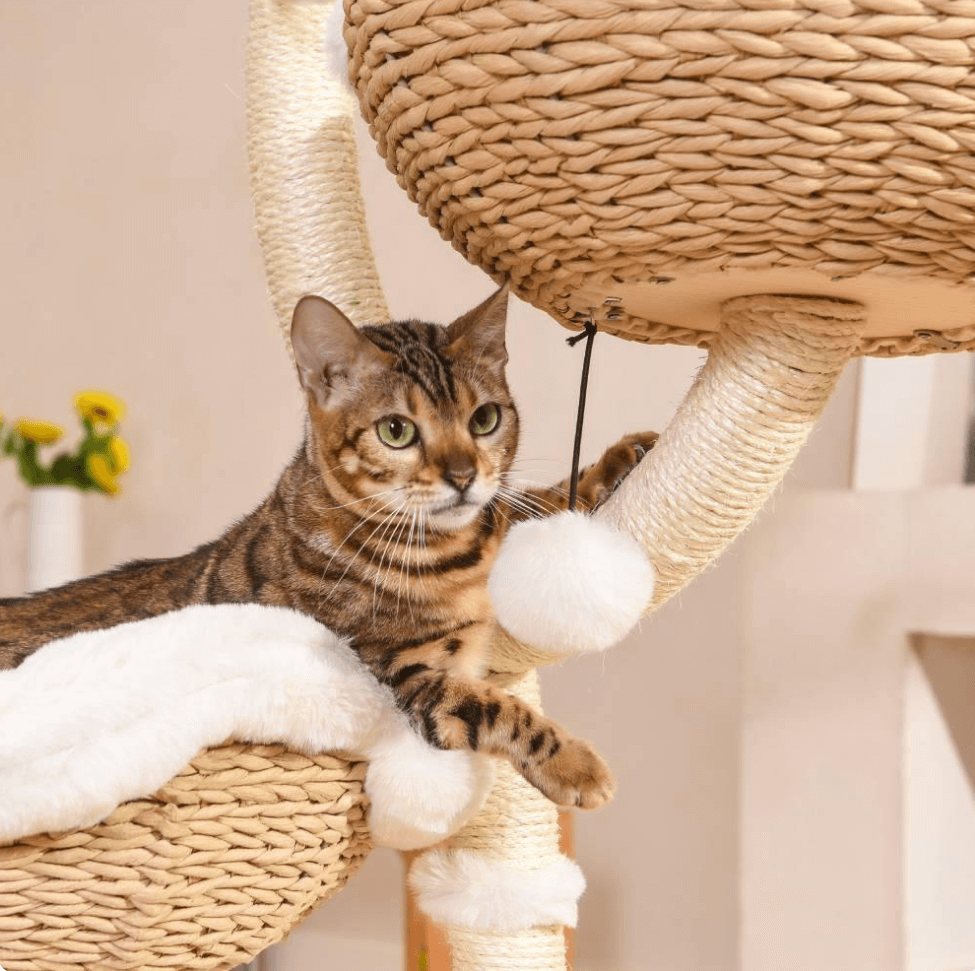 MICHU Iris Cat Tower Deluxe 3-Tier Designer Flower Cat Tree-Petroom