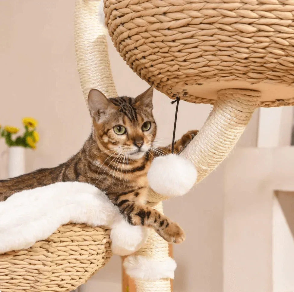 Bengal cat playing on woven cat tree with plush toys and scratching posts