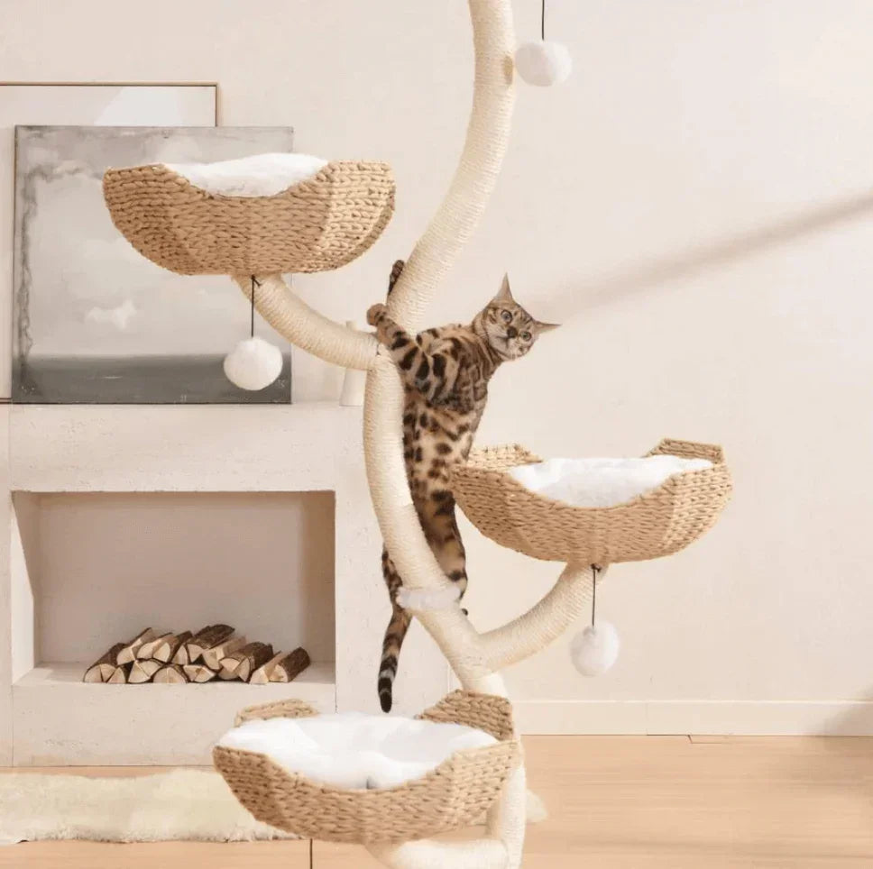 Bengal cat climbing modern cat tree with woven baskets and plush beds, stylish pet furniture for home