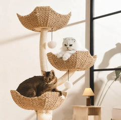 Stylish woven cat tree with two cats lounging on natural fiber platforms, perfect for modern pet homes.