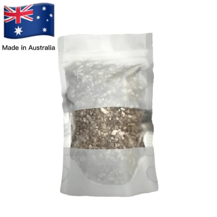 MICHU Soil-Free Cat Grass Kit With Extra Seed Pack-Petroom