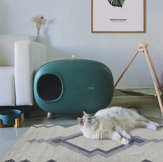 Stylish teal cat bed with cozy white cat lounging nearby in modern living room