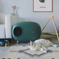 Stylish teal cat bed with cozy white cat lounging nearby in modern living room
