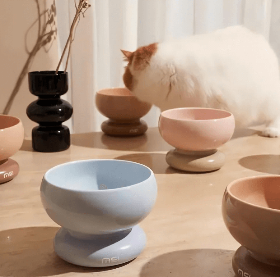Makesure CALORIE Pet Bowl - Cat and Small Dog Bowl-Petroom