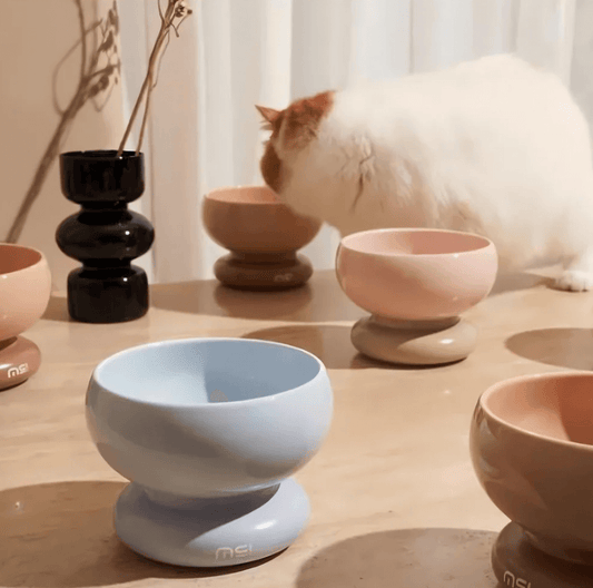 Makesure CALORIE Pet Bowl - Cat and Small Dog Bowl-Petroom