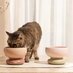 Makesure CALORIE Pet Bowl - Cat and Small Dog Bowl-Petroom