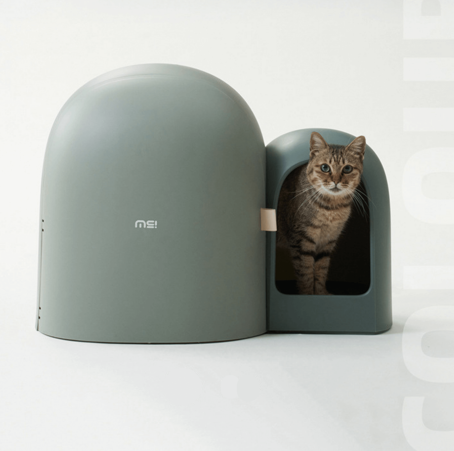 Makesure Cat Litter Box MAX Ideal for large cats-Petroom