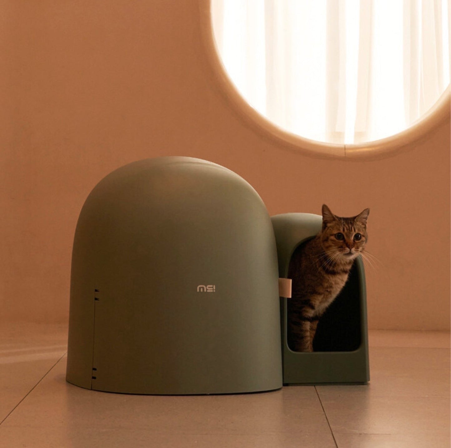 Makesure Cat Litter Box MAX Ideal for large cats-Petroom Makesure Cat Litter Box MAX Ideal for large cats-Petroom