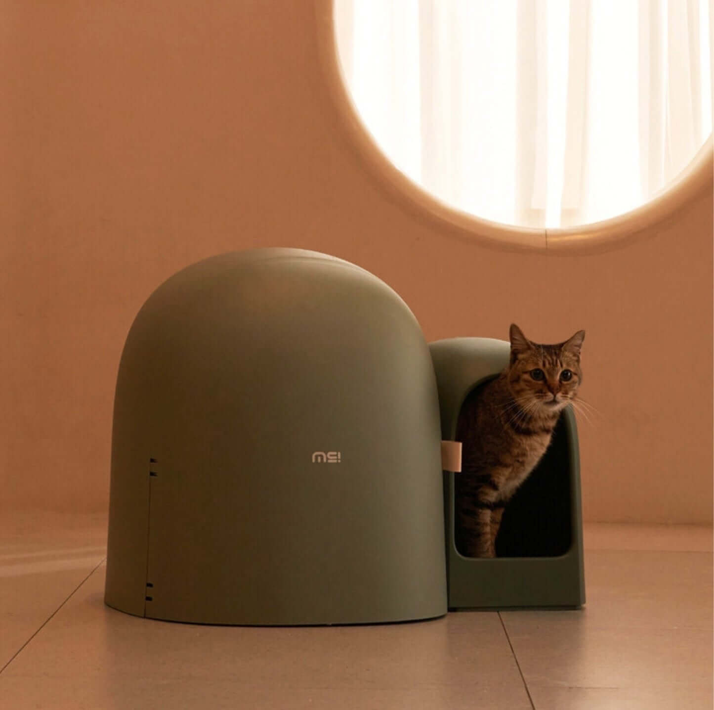 Makesure Cat Litter Box MAX Ideal for large cats-Petroom