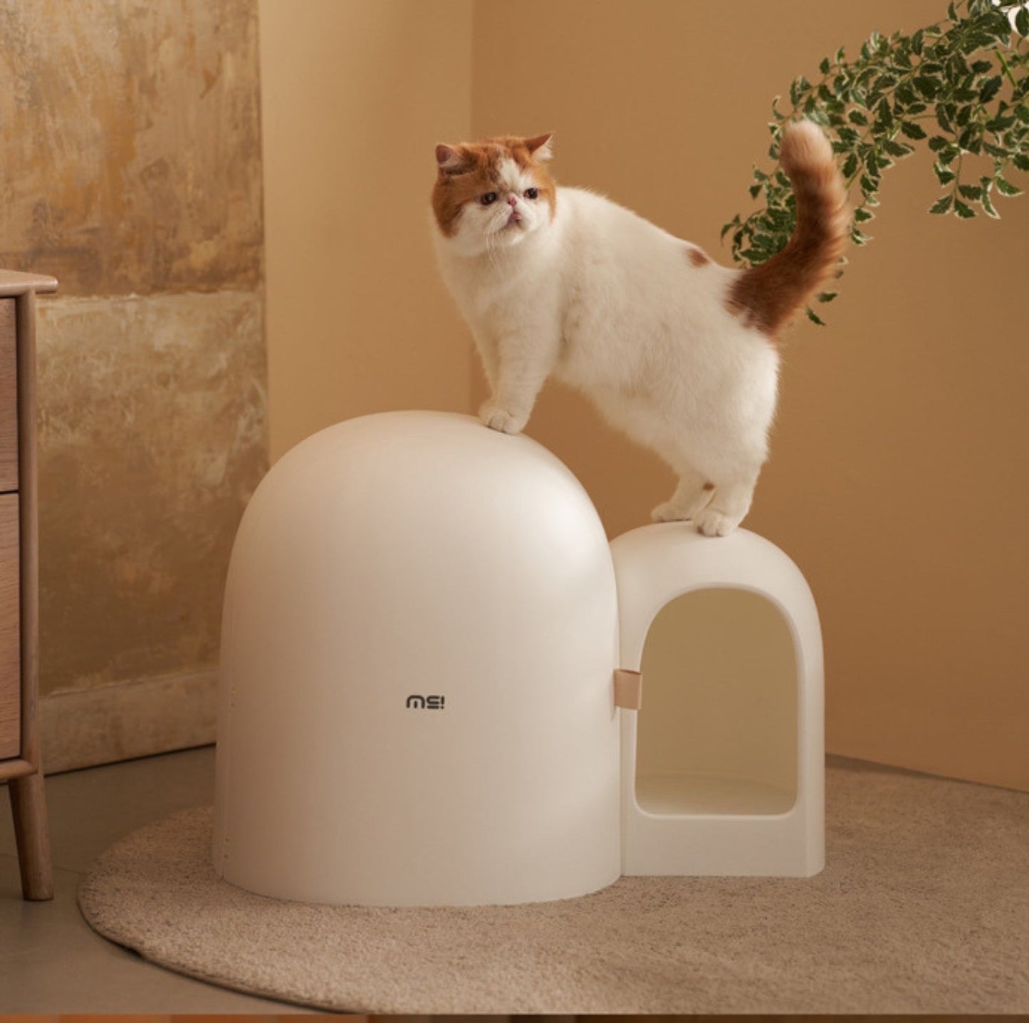 Makesure Cat Litter Box MAX Ideal for large cats-Petroom Makesure Cat Litter Box MAX Ideal for large cats-Petroom