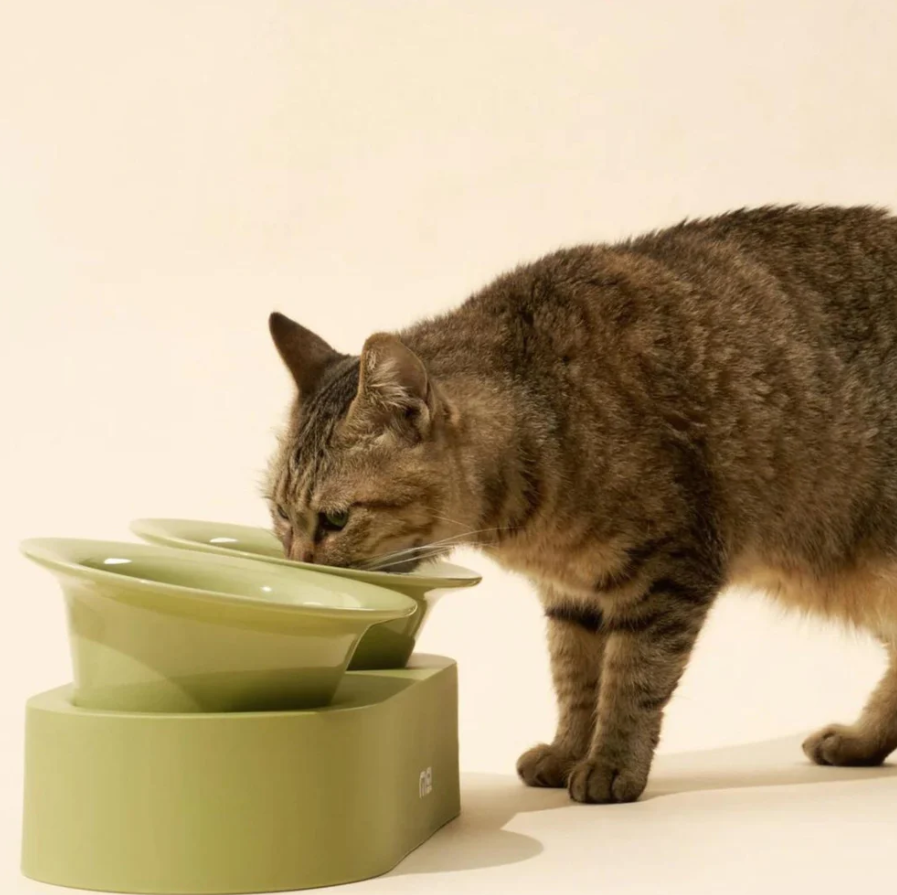 Makesure Jingle 2-in-1 Ceramic Pet Bowl Set for Food & Water Cat Bowls-Petroom