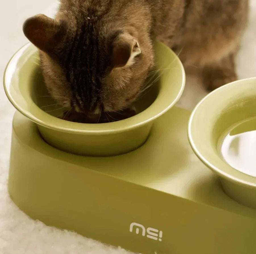 Cat eating from green elevated pet bowl with water side, stylish and practical design