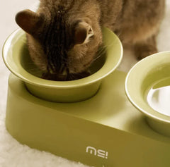Cat eating from green elevated pet bowl with water side, stylish and practical design
