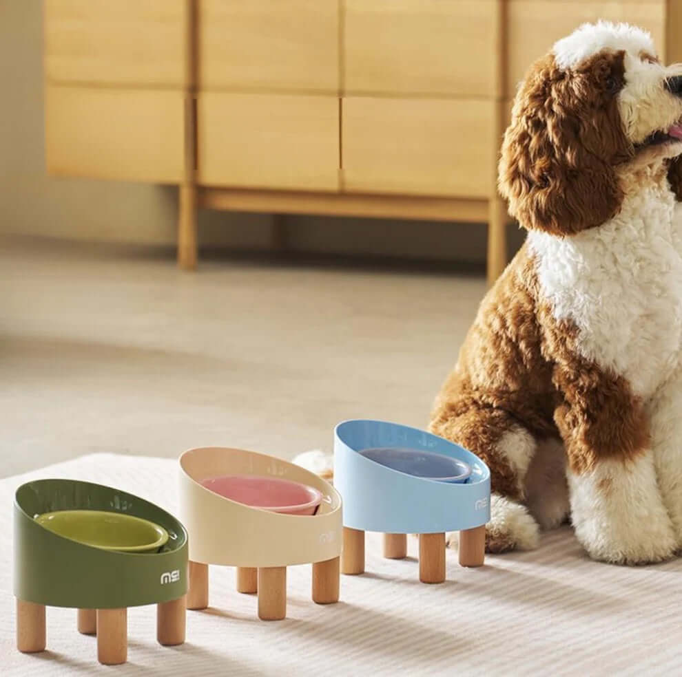 Makesure Rolls Elevated Ceramic Pet Bowl with Wooden Stand-Petroom