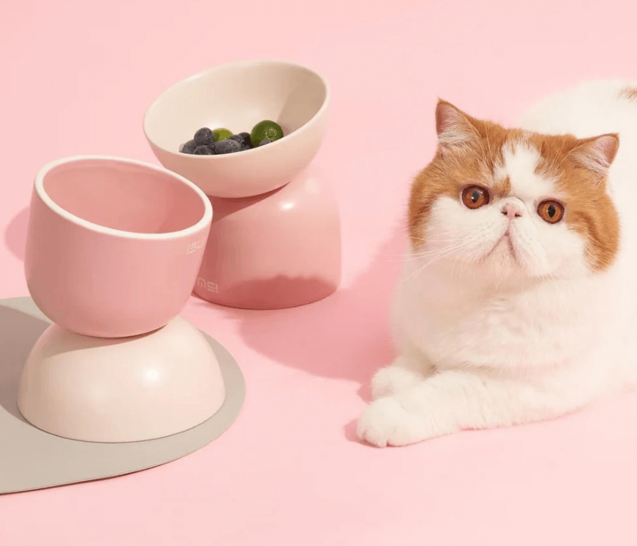 Makesure Sugar Bean Ceramic Double Pet Bowls For Cat and Small Dogs-Petroom