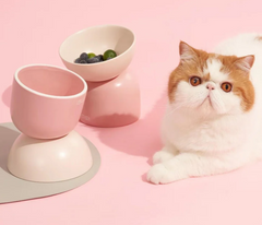 Makesure Sugar Bean Ceramic Double Pet Bowls For Cat and Small Dogs-Petroom