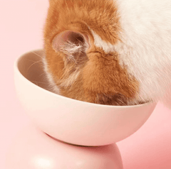 Makesure Sugar Bean Ceramic Double Pet Bowls For Cat and Small Dogs-Petroom