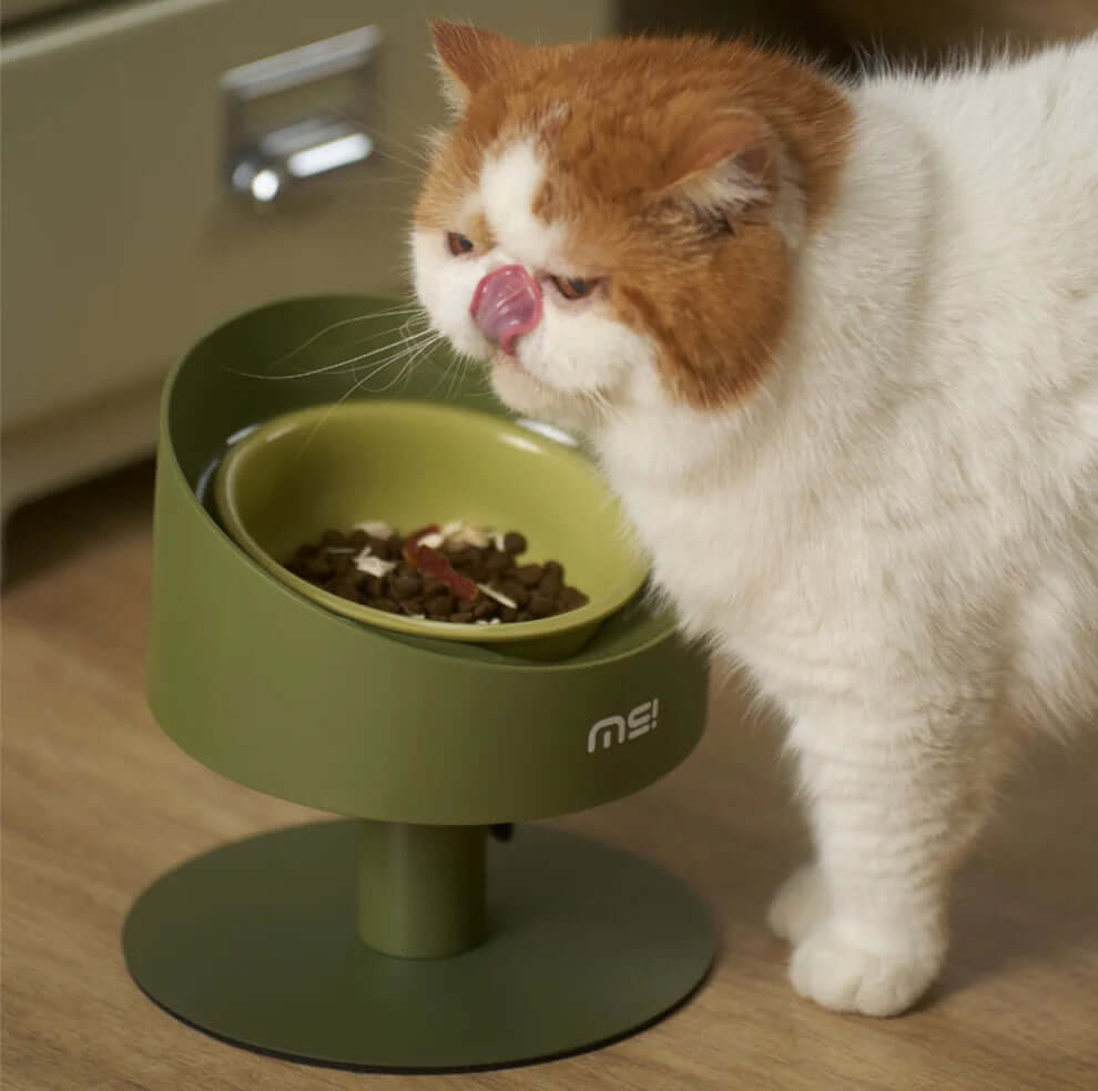 Makesure Sunflower Adjustable Pet Food Bowl-Petroom